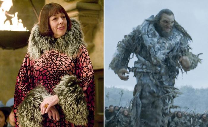 13 atores de Game of Thrones que estrelaram em Harry Potter 13