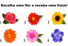 Receba uma frase de encorajamento de acordo da flor que você escolheu