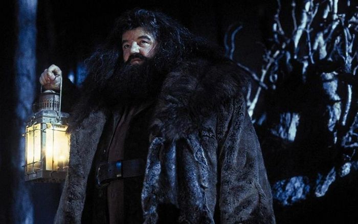 23 momentos em Harry Potter que não faz sentido nenhum 8 23 momentos em Harry Potter que não faz sentido nenhum 8