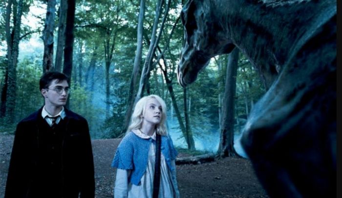 23 momentos em Harry Potter que não faz sentido nenhum 23 23 momentos em Harry Potter que não faz sentido nenhum 23