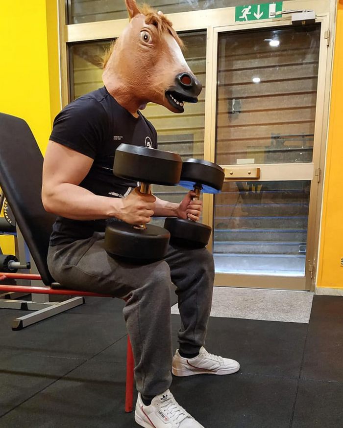 As pessoas ao redor do mundo curtindo a vida em máscaras de cavalo 1