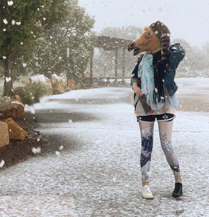 As pessoas ao redor do mundo curtindo a vida em máscaras de cavalo 2