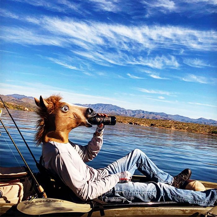 As pessoas ao redor do mundo curtindo a vida em máscaras de cavalo 5