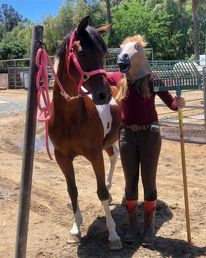 As pessoas ao redor do mundo curtindo a vida em máscaras de cavalo 10