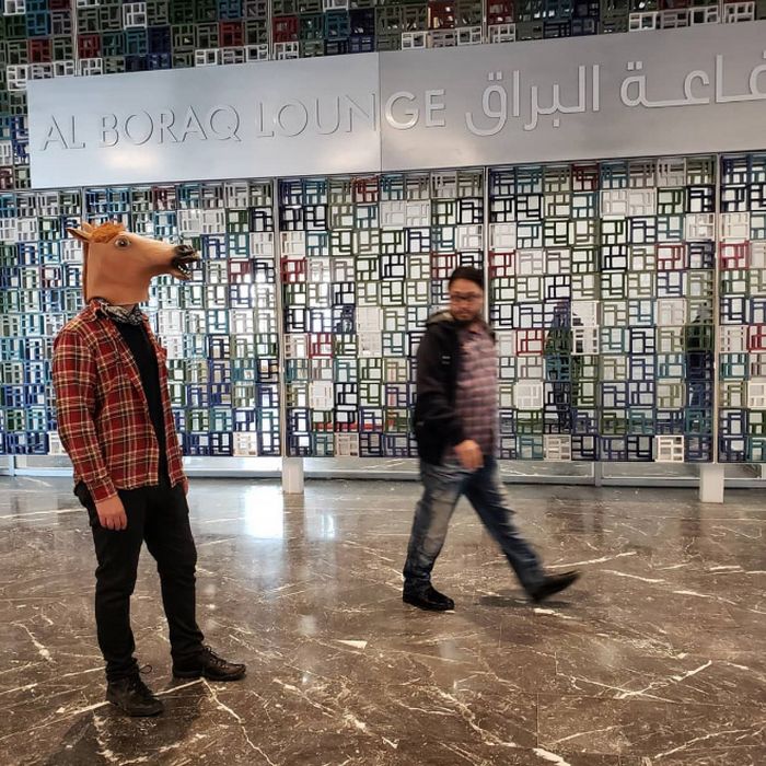 As pessoas ao redor do mundo curtindo a vida em máscaras de cavalo 15