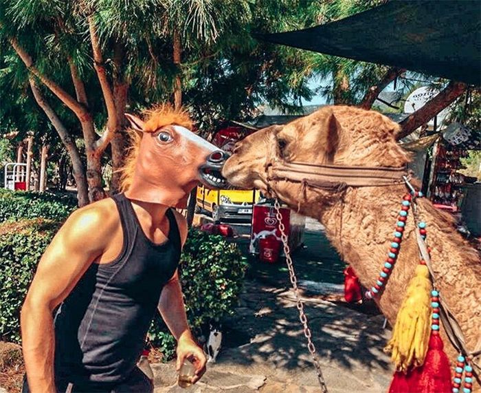 As pessoas ao redor do mundo curtindo a vida em máscaras de cavalo 16