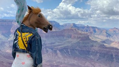 As pessoas ao redor do mundo curtindo a vida em máscaras de cavalo 10