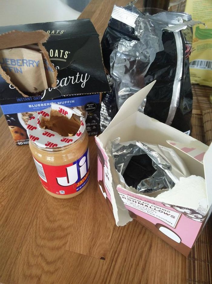 18 pessoas que perceberam que estão vivendo com um monstro 1