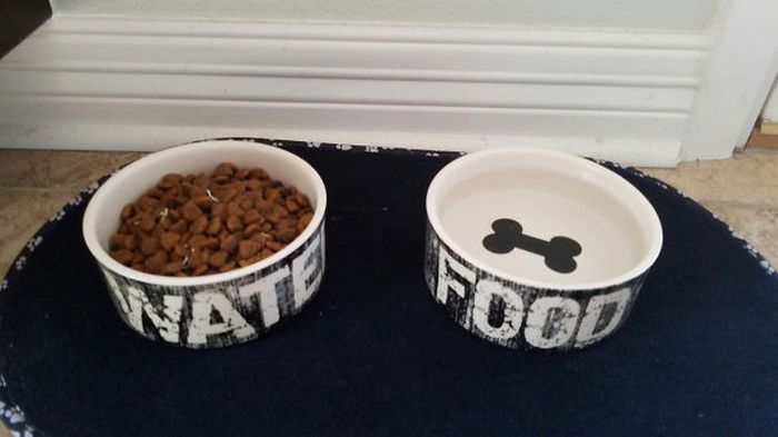 18 pessoas que perceberam que estão vivendo com um monstro 7