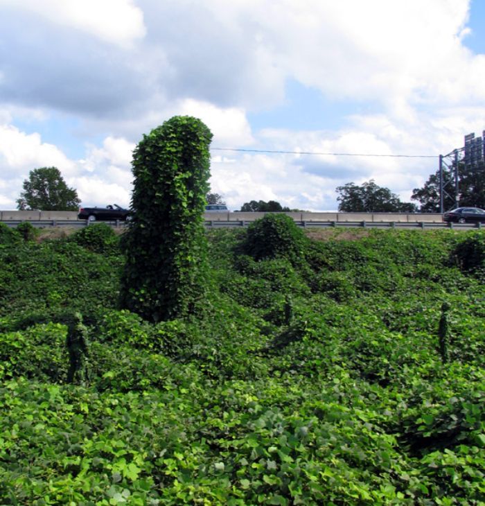 Artista espalha manequins realistas em todo o mundo para mexer com as pessoas (49 fotos) 30