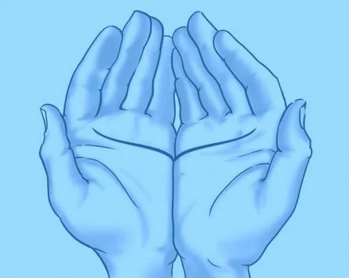 As linhas da sua mão revela algo incrível sobre você 3