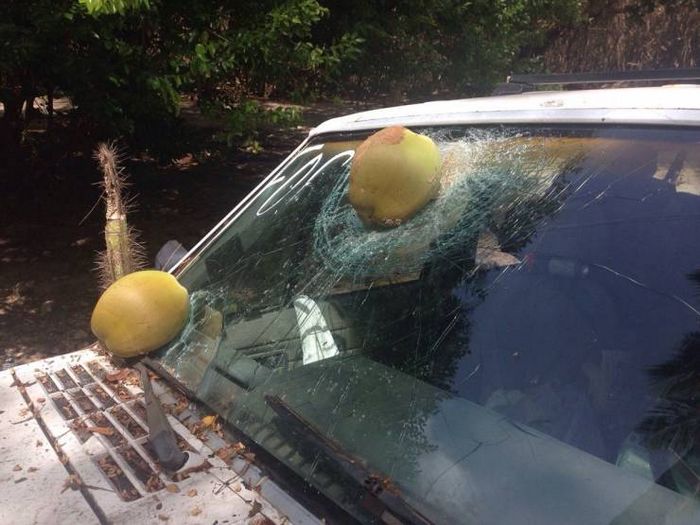 26 fotos que são a própria definição de um dia ruim 2