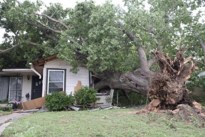 26 fotos que são a própria definição de um dia ruim 6