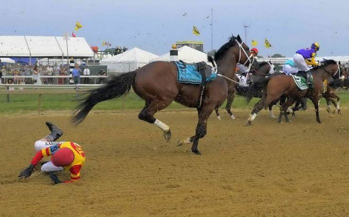 26 fotos que são a própria definição de um dia ruim 10