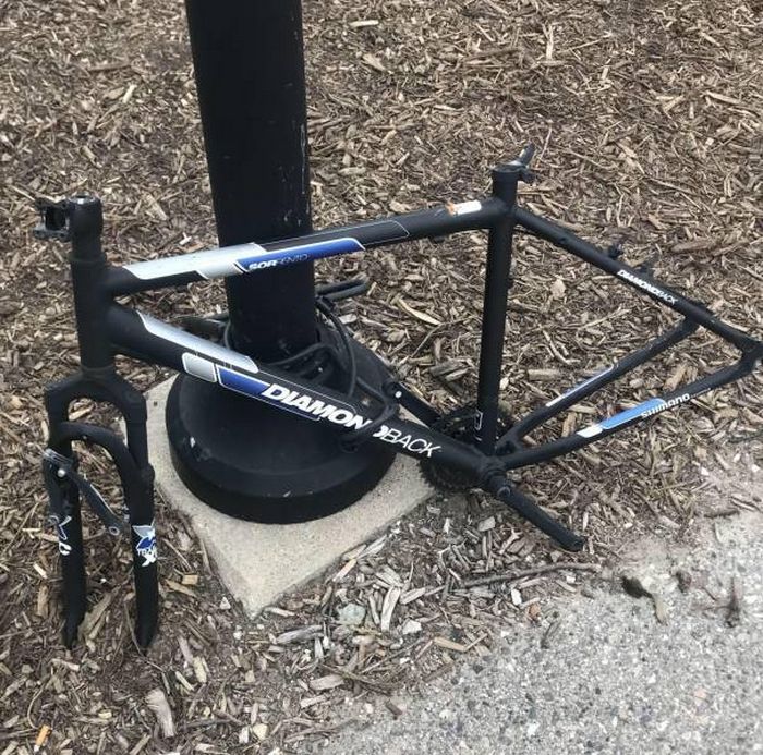 26 fotos que são a própria definição de um dia ruim 11