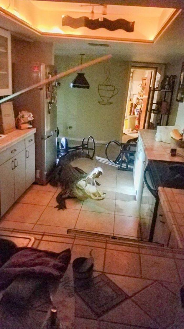 26 fotos que são a própria definição de um dia ruim 23