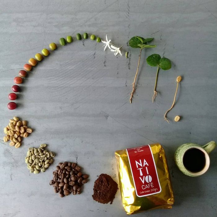 16 imagens incríveis que você deve ver ao menos uma vez na vida 12