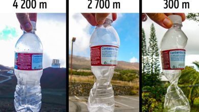 16 imagens incríveis que você deve ver ao menos uma vez na vida 7