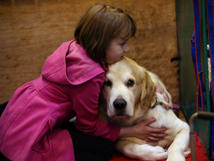 9 incríveis coisas que nossos cachorros podem prever 4