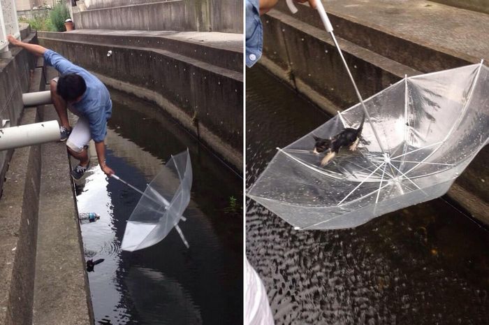 15 pessoas inspiradoras que comoveram nosso coração 5