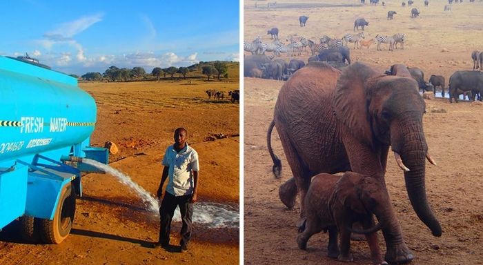 15 pessoas inspiradoras que comoveram nosso coração 8