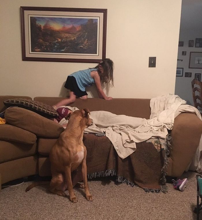 17 pessoas são capazes de cometer os atos mais comoventes por amor 11