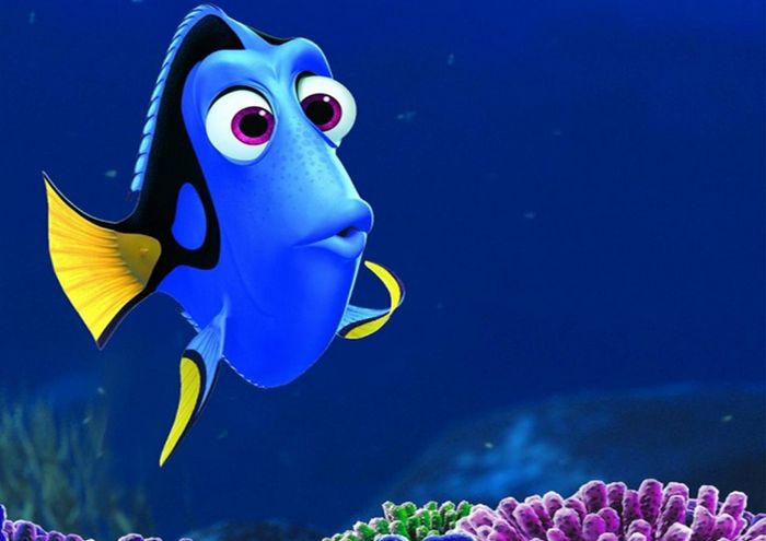 Ser esquecido é um sinal de inteligência, dizem cientistas 1