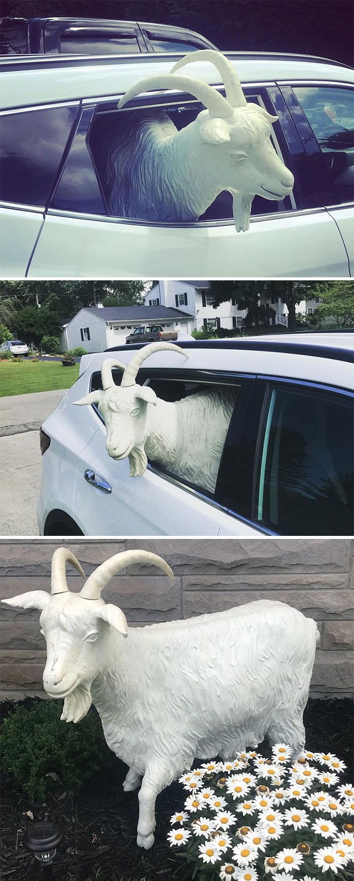 16 coisas encontradas em brechós que revelam muita imaginação 15