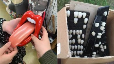 16 coisas encontradas em brechós que revelam muita imaginação 37