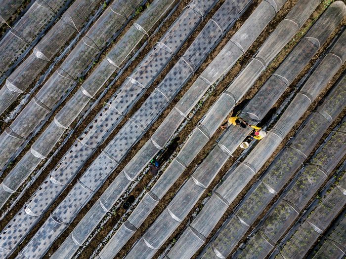 38 fotos capturadas no mundo aéreas 7