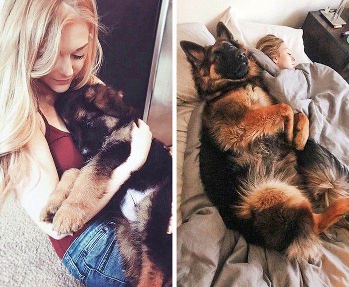 23 fotos que mostram o quão rápido nossos animais de estimação crescem 16