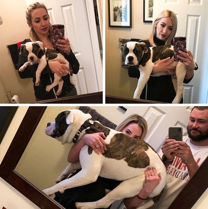 23 fotos que mostram o quão rápido nossos animais de estimação crescem 20