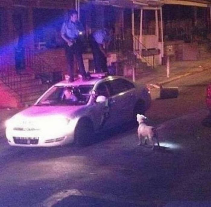 26 fotos que são a própria definição de um dia bem ruim 12