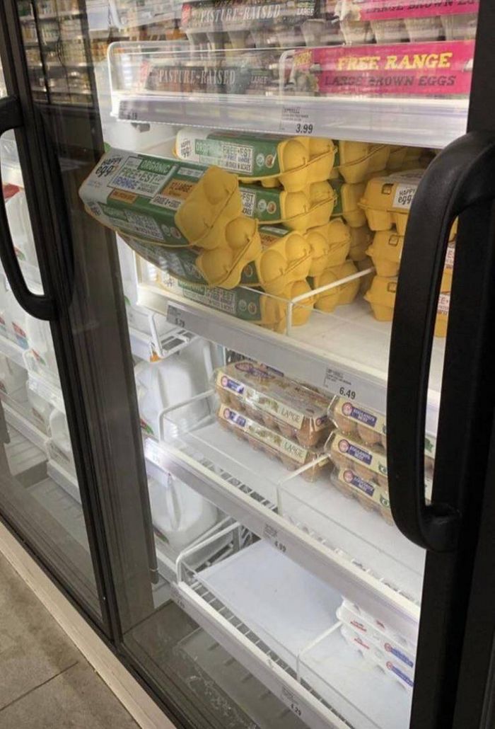 26 fotos que são a própria definição de um dia bem ruim 19