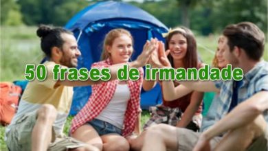 50 frases de irmandade