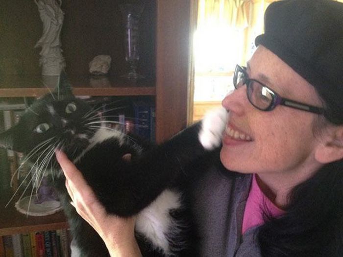 22 gatos odeiam abraços 17