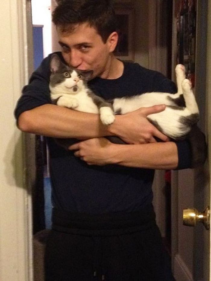22 gatos odeiam abraços 19