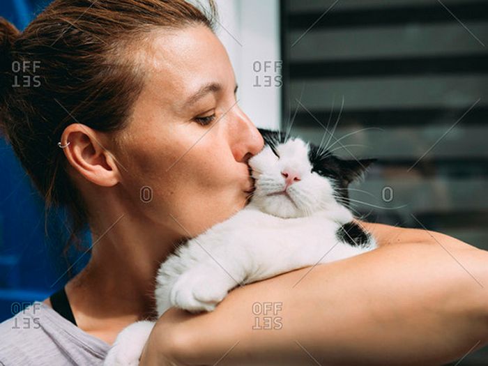 22 gatos odeiam abraços 22