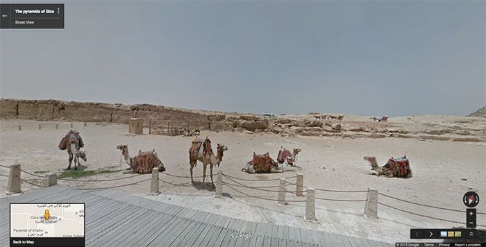 37 melhores fotos de animais tiradas acidentalmente pelo Google Street View 5