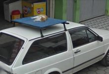 37 melhores fotos de animais tiradas acidentalmente pelo Google Street View 14