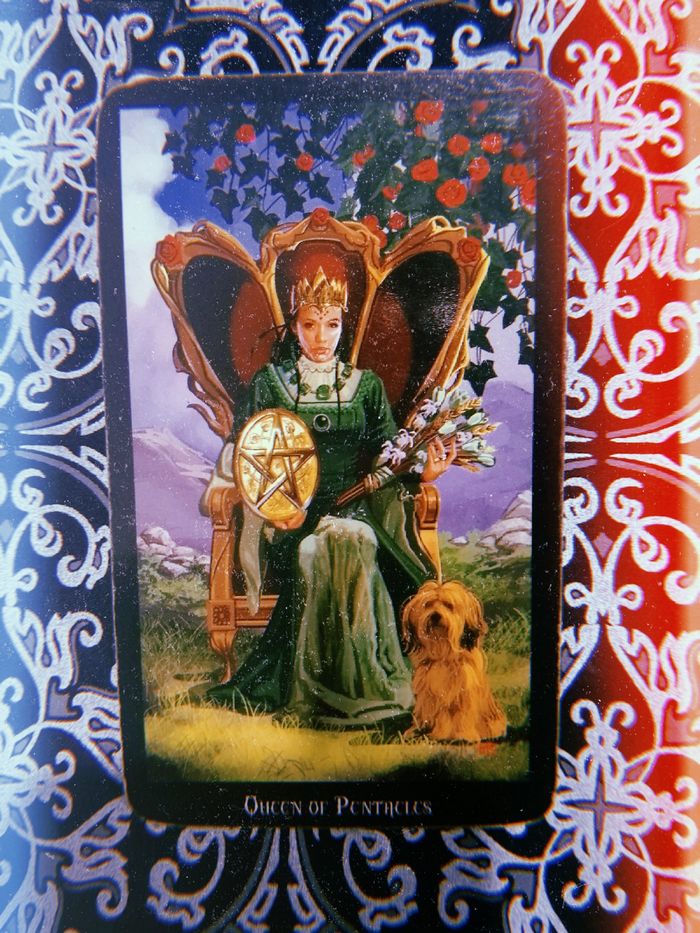 O conselho do tarô para seu signo 11