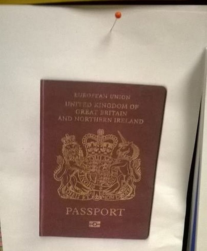 13 pessoas que encararam as coisas de uma maneira muito literal 2