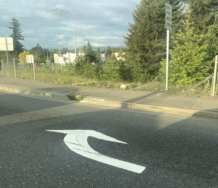 13 pessoas que encararam as coisas de uma maneira muito literal 11