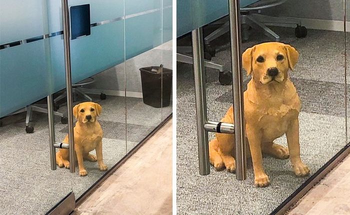 15 situações super incômodas que esperamos que nunca aconteçam com você 3