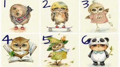 Teste de personalidade divertida da coruja 9