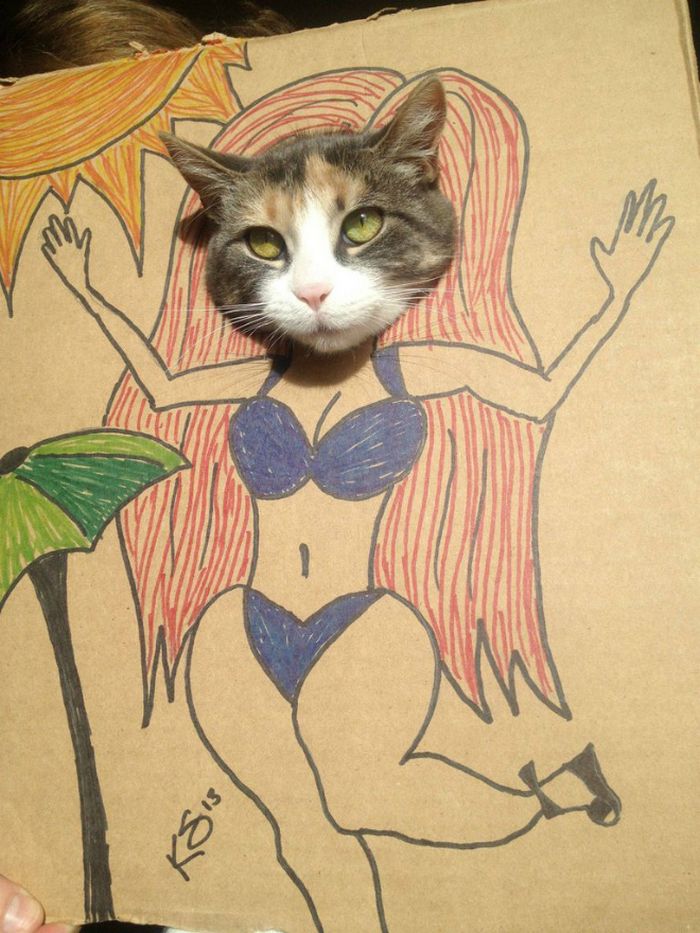 Brincadeira na internet dá aos gatos corpo fictício desenhado em papelão (20 fotos) 2