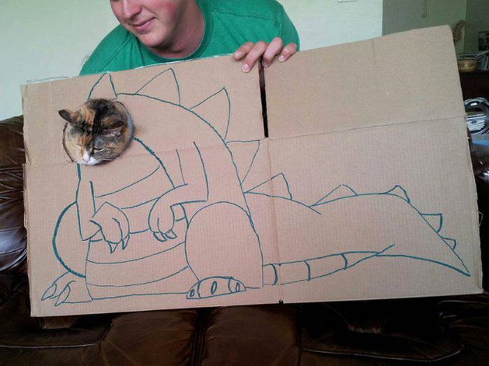 Brincadeira na internet dá aos gatos corpo fictício desenhado em papelão (20 fotos) 12