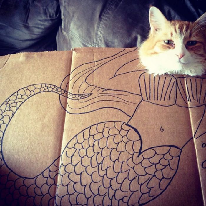 Brincadeira na internet dá aos gatos corpo fictício desenhado em papelão (20 fotos) 18