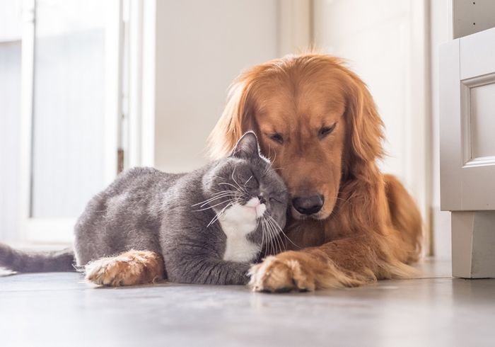 16 coisas simples da vida que o dinheiro não pode comprar 5