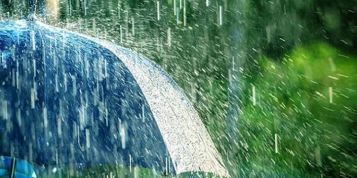 16 coisas simples da vida que o dinheiro não pode comprar 10